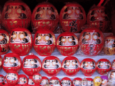 Humor - Fun Efectos 3d Stéreoscopique Wiggle 