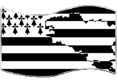 Flags France Regions Brittany Rectangle 