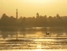 Multi Média Chaines -  TV France Voyage Jingle Pub 