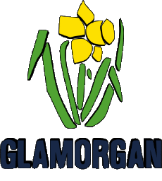 Deportes Cricket Reino Unido Glamorgan County 