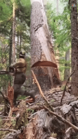 Humor -  Fun PEOPLE Lumberjack - Timber ! Win 
