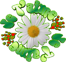 Mensajes Francés Je T'aime 05 