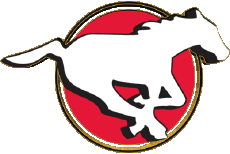 Sports FootBall Américain Canada - L C F Calgary Stampeders 
