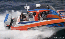 Humor -  Fun Transport Boote Offshore Power Boat 