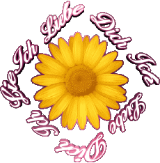 Messages Allemand Ich Liebe Dich 02 