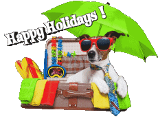 Messages English Happy Holidays Transparent Background 11 