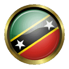 Fahnen Amerika St. Kitts und Nevis Rund - Ringe 