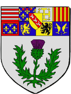 Blason-Drapeaux France Départements - Villes 54 NANCY Blason