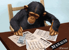 Humor - Fun Animales Monos 01 