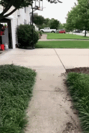 Humor - Fun Transporte Patineta Fail 