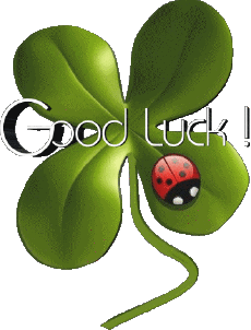 Messagi Inglese Good Luck Sfondo trasparente 01 
