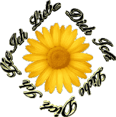 Messages Allemand Ich Liebe Dich 02 