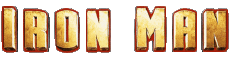 Multimedia V International Iron Man Logo 01 