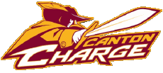 Sports Basketball U.S.A - N B A Gatorade Canton Charge 