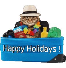 Messagi Inglese Happy Holidays Sfondo trasparente 12 