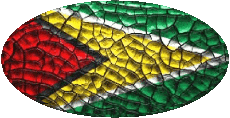 Drapeaux Amériques Guyana Ovale 