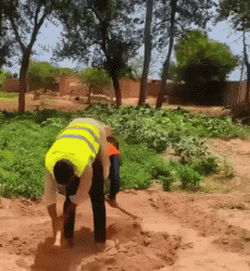 Humor - Fun GENTE En el trabajo Fun - Win 03 