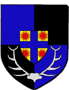 Banderas Francia Departamentos - Ciudades 41 CHEVERNY 