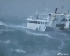 Humor - Fun Transporte Barcos Grandes olas 