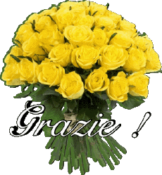 Mensajes Italiano Grazie 007 