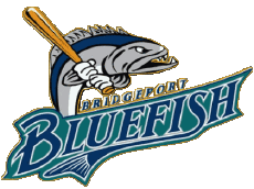 Sports Baseball U.S.A - ALPB - Atlantic League Bridgeport Bluefish 