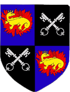 Banderas Francia Departamentos - Ciudades 41 ROMORANTIN LANTHENAY 