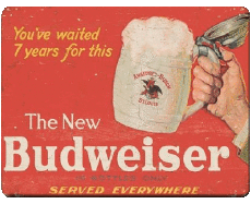 Boissons Bières USA Budweiser 