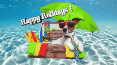 Nachrichten Englisch Happy Holidays Animierter Hintergrund 002 