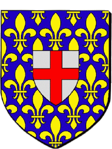 Blason-Drapeaux France Départements - Villes 80 DOULLENS 