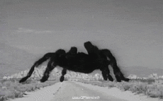 Humor - Fun Animales Insectos 01 