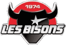 Deportes Hockey - Clubs Francia Neuilly-sur-Marne 93 Bisons 