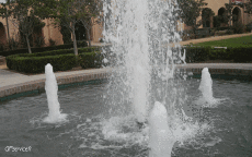 Humour - Fun 3D Effets Stéreoscopique Wiggle 