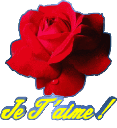 Messages French Je T'aime 01 