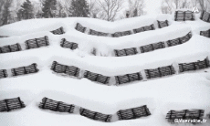 Humor -  Fun Sport Ski Free Ride Fun Win 