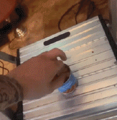 Umorismo -  Fun Animali Pesce 01 