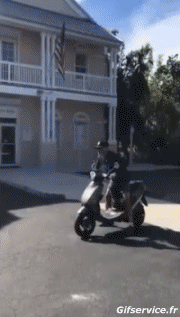 Humor - Fun Transporte Scooter Fun Accident - Fail 