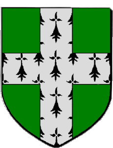 Drapeaux France Départements - Villes 35 DINARD 