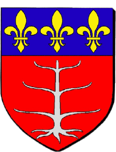 Drapeaux France Départements - Villes 82 NEGREPELISSE 