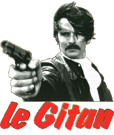 Multi Media Movie France Alain Delon Le Gitan 