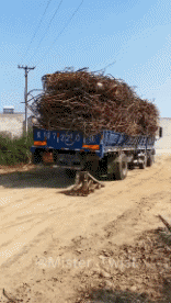 Humor -  Fun Transport LKW Fun -  Win 