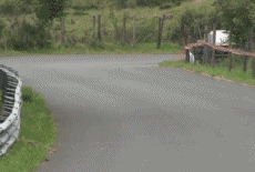 Umorismo -  Fun Trasporti Macchine Rally Fail Crash 