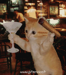 Humour - Fun Animaux Chats Serie 03 