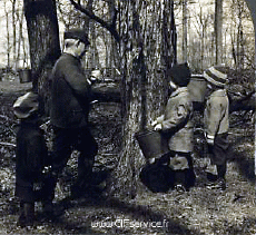 Humor - Fun Efectos 3d Stéreoscopique Wiggle 