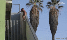 Humor -  Fun Sports Skateboard Free Style Fun - Win 01 