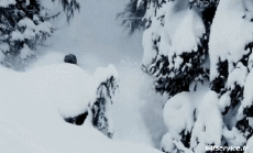 Humor -  Fun Sports Ski Free Ride Fun Win 