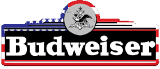 Getränke Bier USA Budweiser 
