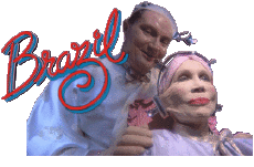 Multimedia V International Brazil Logo 