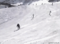 Humor -  Fun Sports Ski Fail Various 
