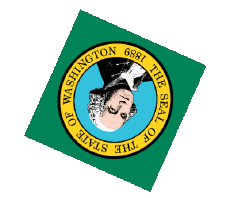 Fahnen Amerika U.S.A - States Washington Kugel - Würfel 