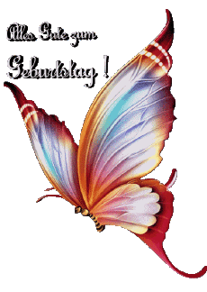 Messages German Alles Gute zum Geburtstag Schmetterlinge Transparent Background 008 
